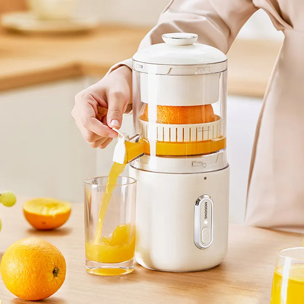 Multifunctional Blender By Diviera