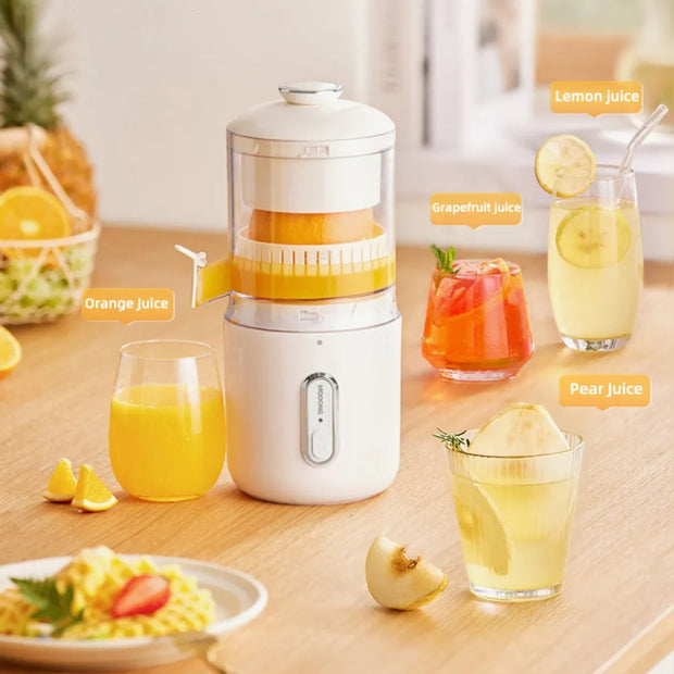 Multifunctional Blender By Diviera